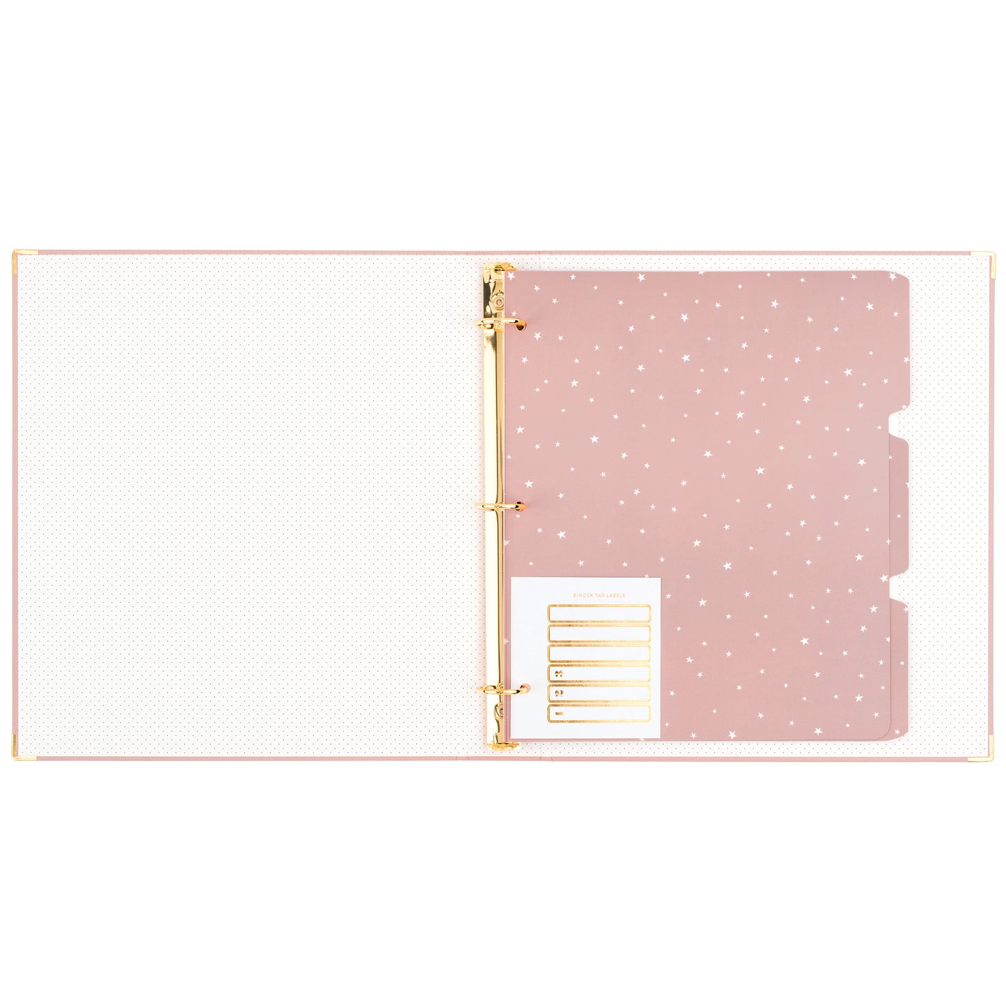 open rose binder showing tab dividers