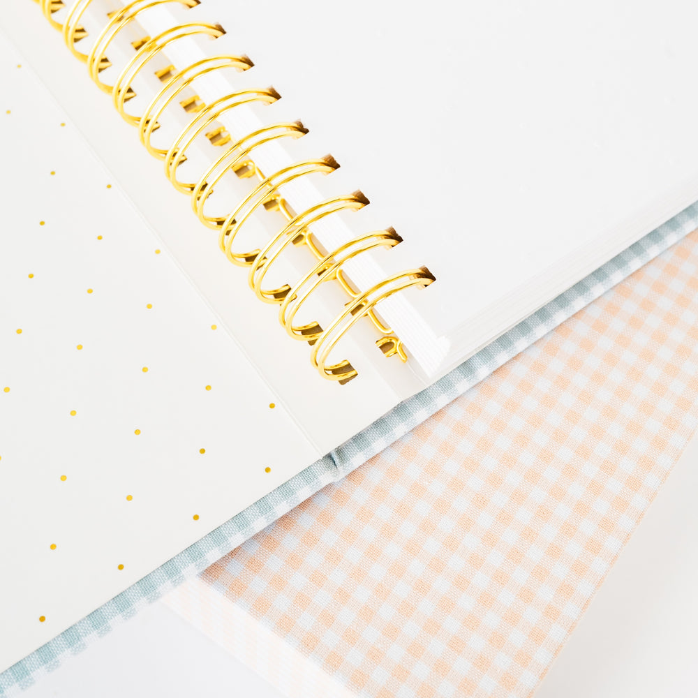 closeup on gold spiral in gingham baby book