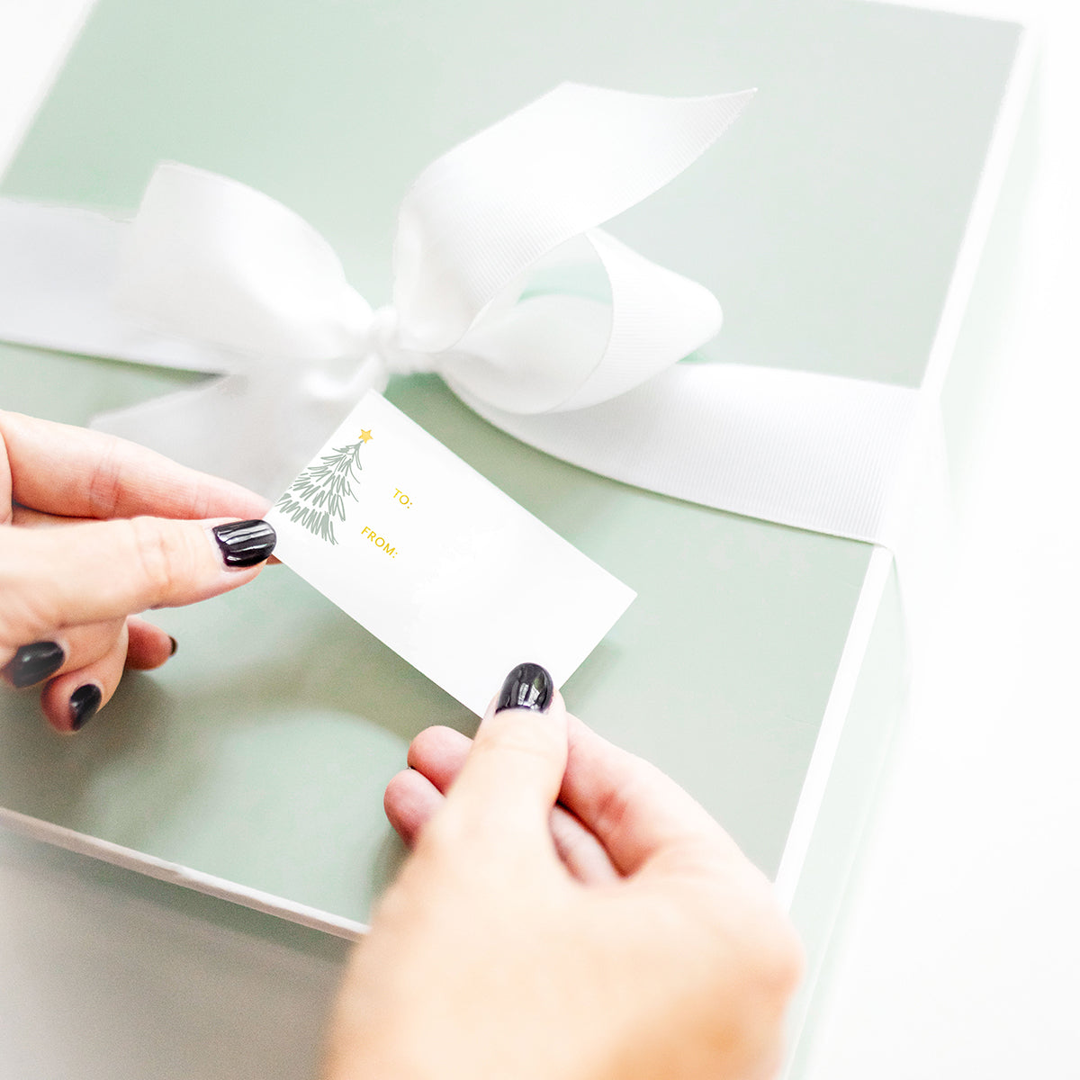 close up of mint tree holiday sticker being placed on a gift box