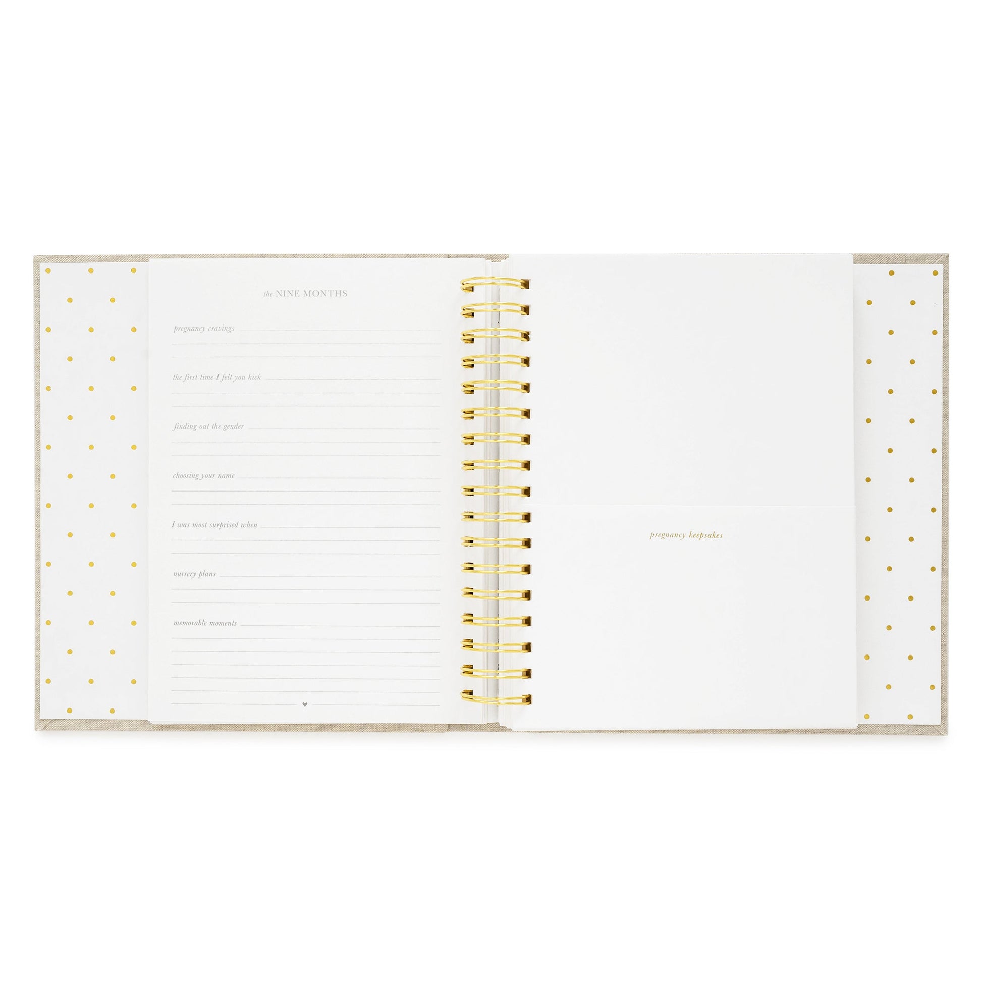 Pregnancy keepsakes page of baby book