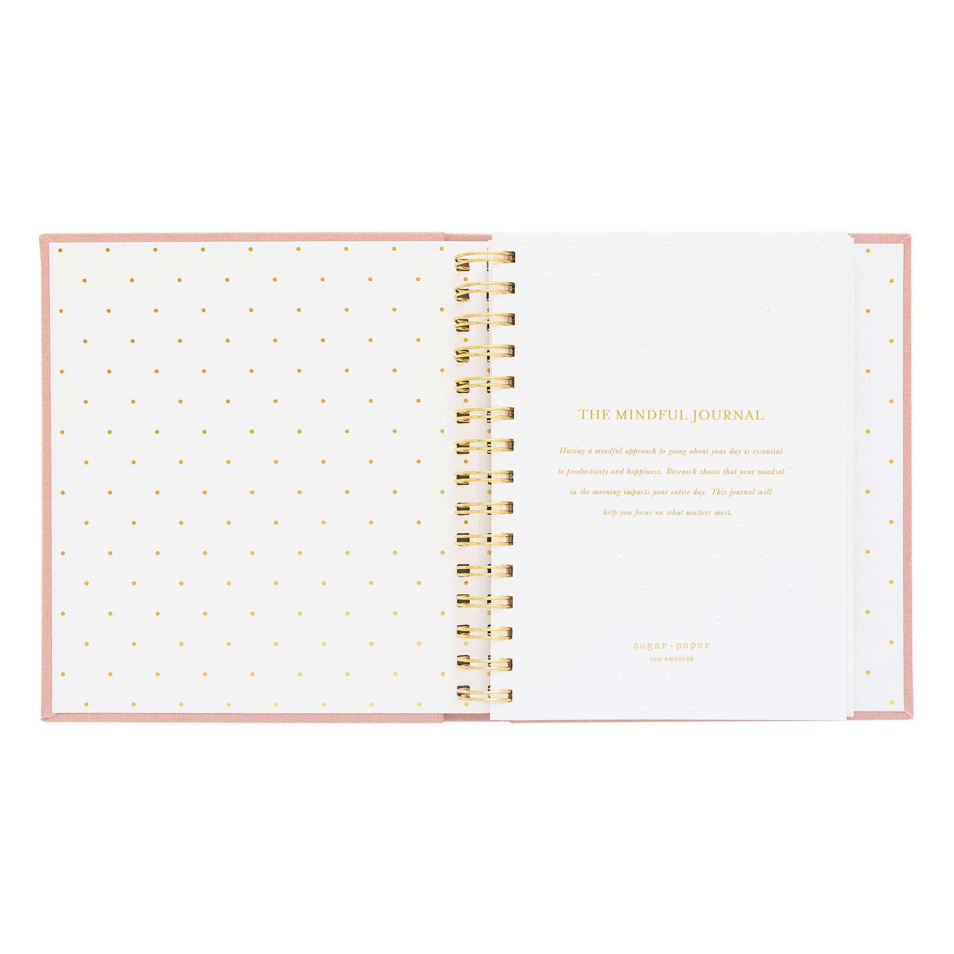 open mindful journal showing gold dot interior and cover page