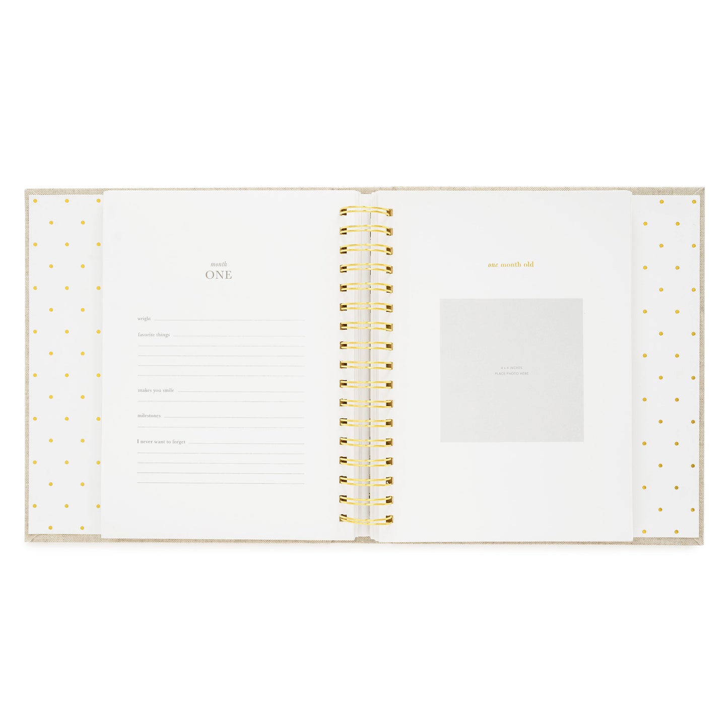Blue Gingham Sugar Paper x Maisonette Baby Book