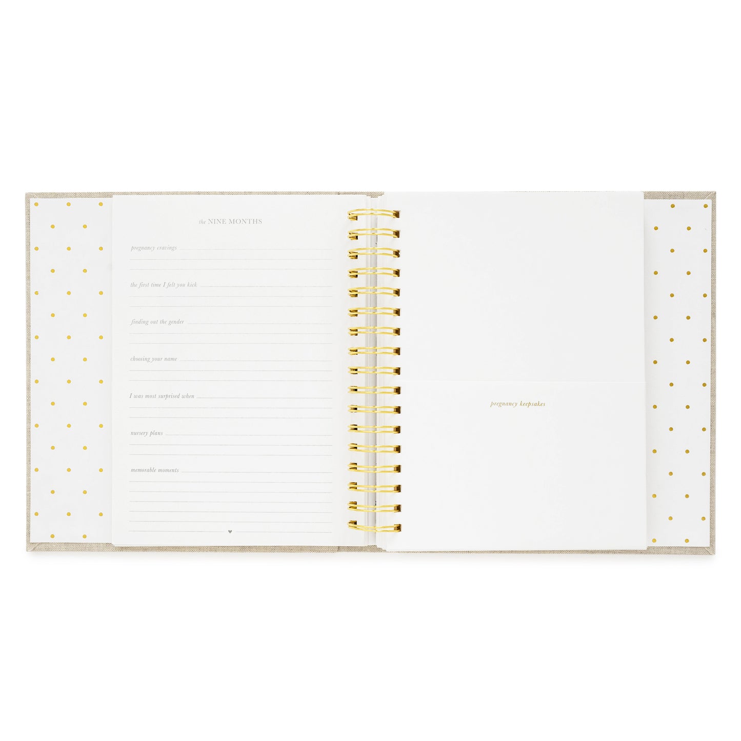 Blue Gingham Sugar Paper x Maisonette Baby Book
