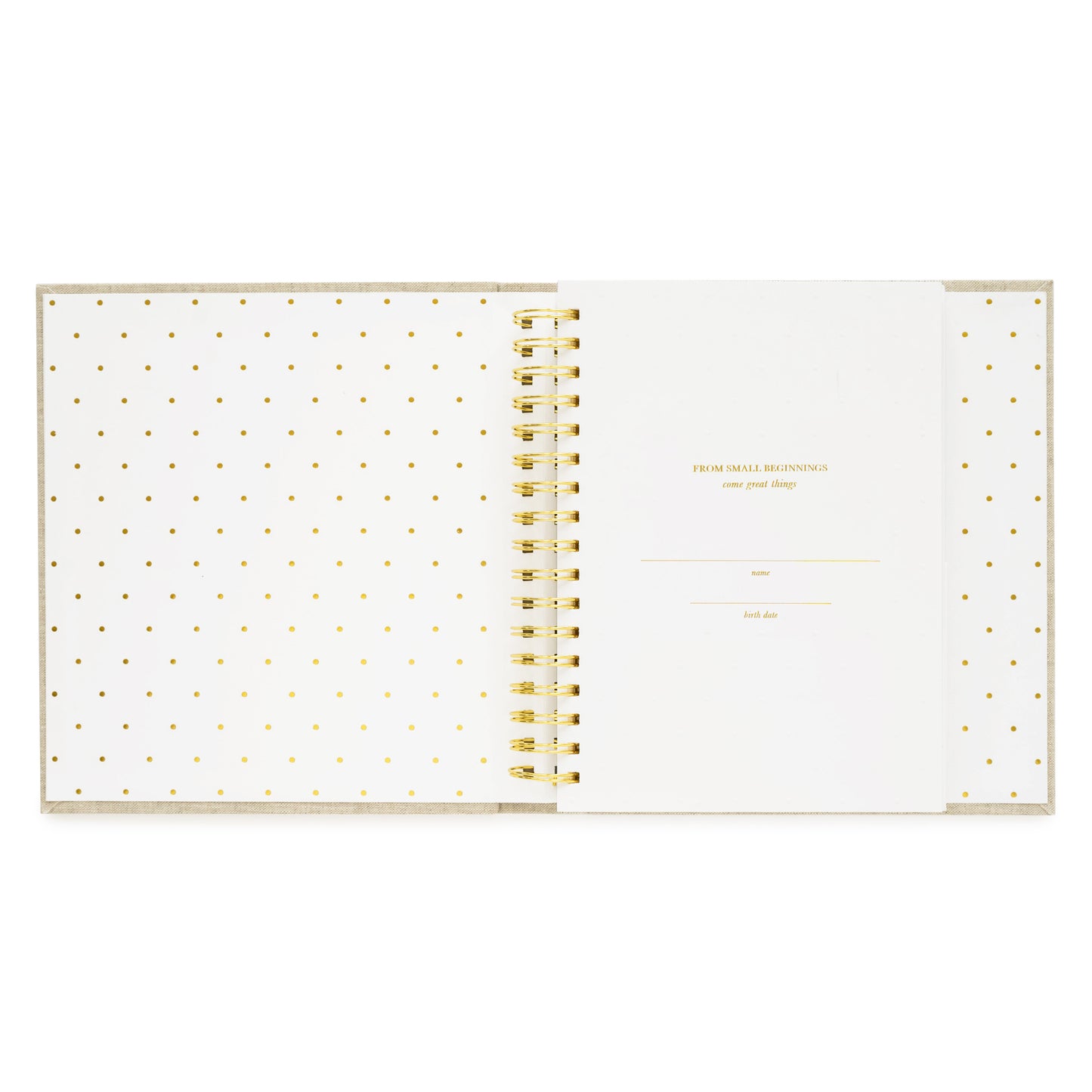 Blue Gingham Sugar Paper x Maisonette Baby Book