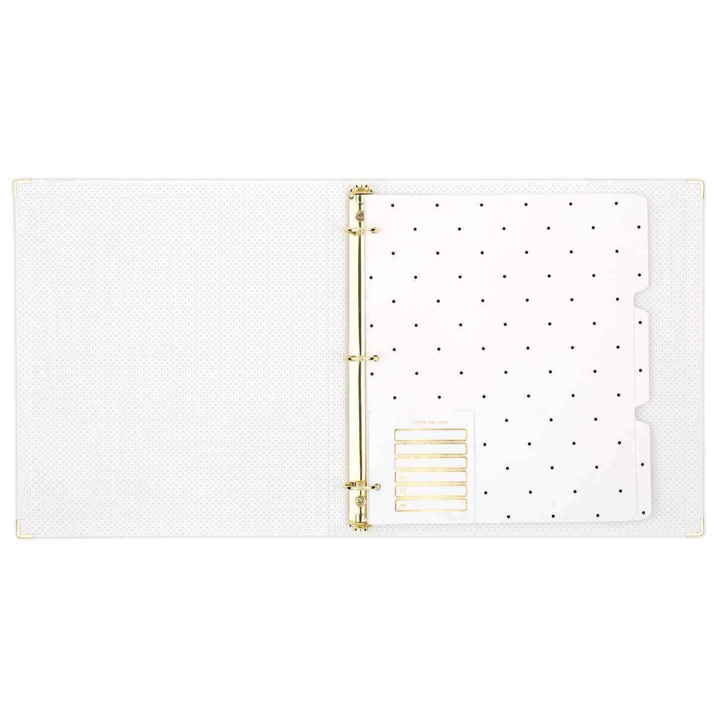open white binder with black dots showing tab dividers