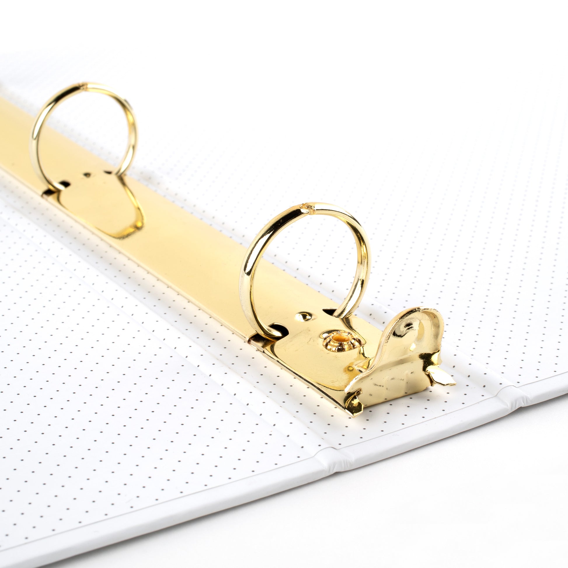 closeup on gold binder rings in white binder with black dots