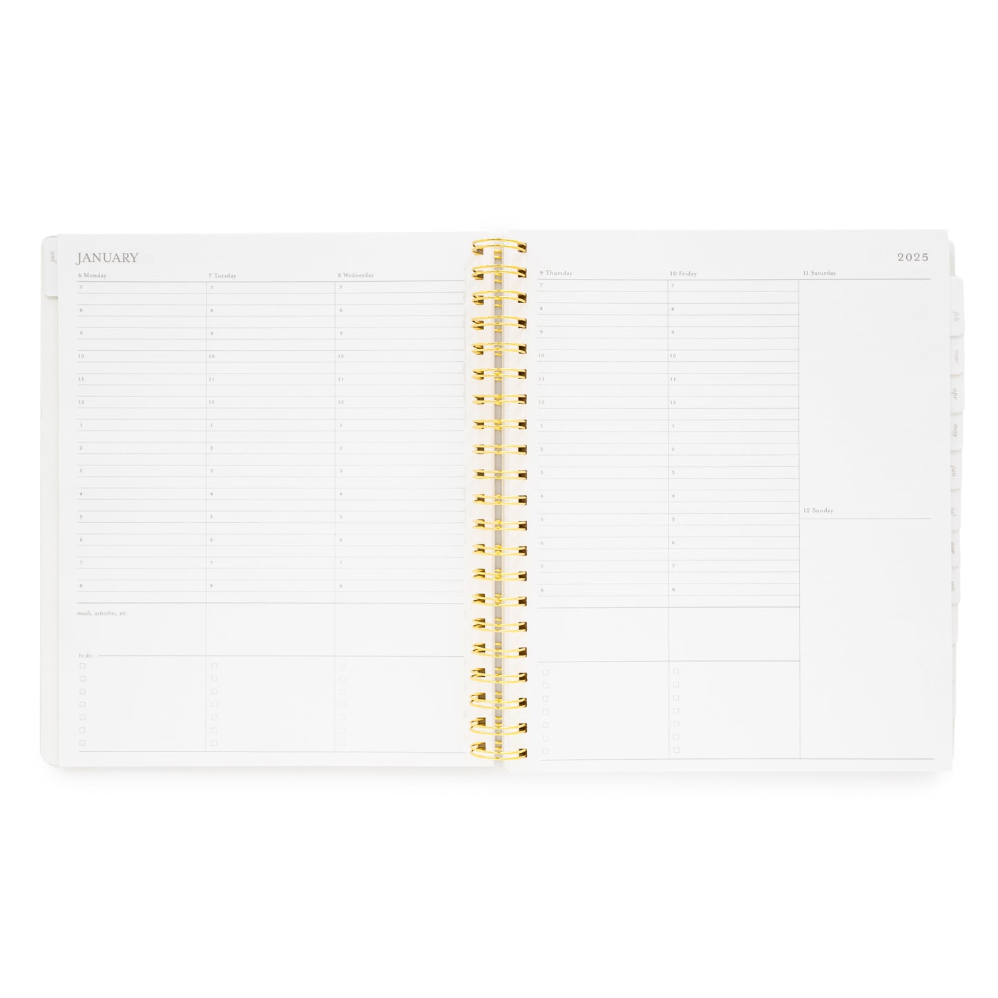 Weekly Layout with Timed Hours of the Day of Large Weekly Planner