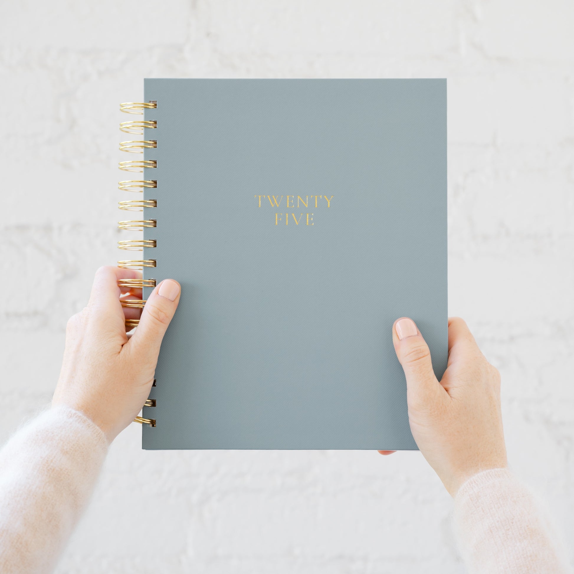 Blue spiral planner in hands